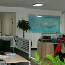 信息咨询的价值 信奇信息咨询的洞察与实践